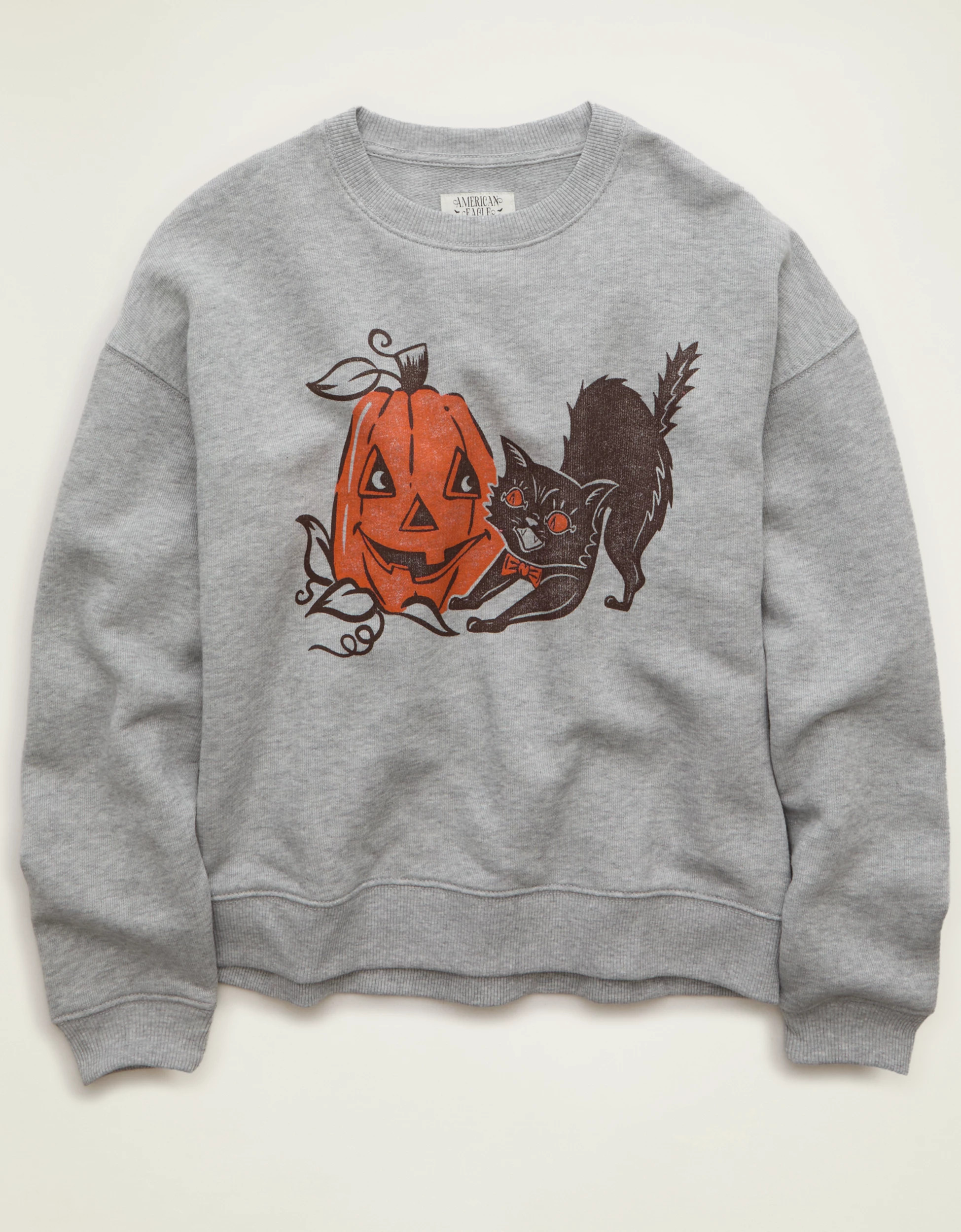 AE Pumpkin Graphic Sweatshirt | American Eagle Outfitters (US & CA)