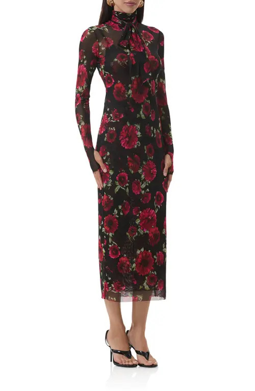 AFRM Bryony Long Sleeve Polka Dot Mesh Dress in Painted Roses at Nordstrom, Size Medium | Nordstrom