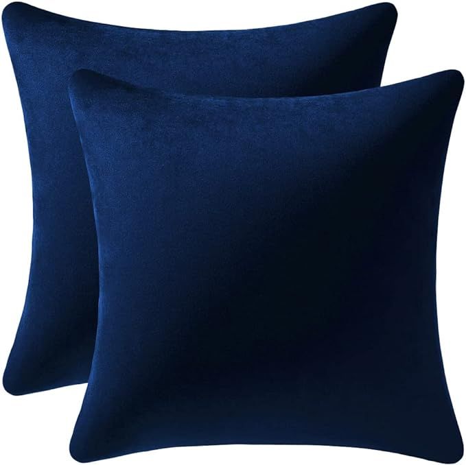 Couch Pillow Cases 22x22 Navy: 2 Pack Cozy Soft Velvet Square Throw Pillow Covers for Farmhouse H... | Amazon (US)