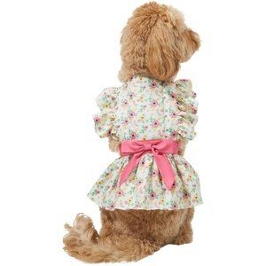 Frisco Dainty Pink Floral Dog & Cat Dress | Chewy.com