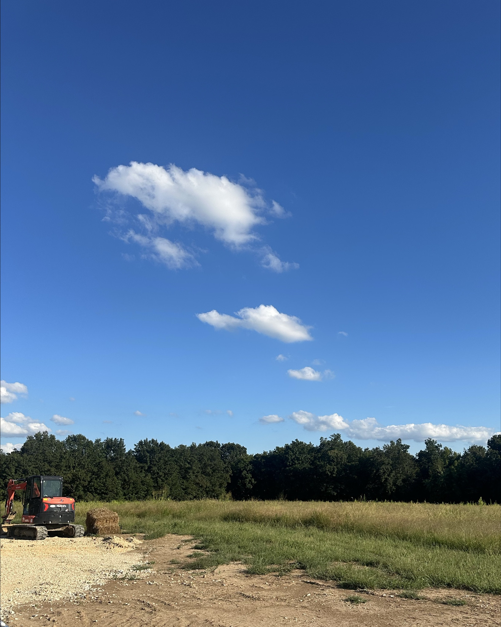 🏡 Check on the lot tonight definitely time to bush hog this again 😂🌾 

Can’t wait to build here! 🫶🏻🤭

#LTKHome