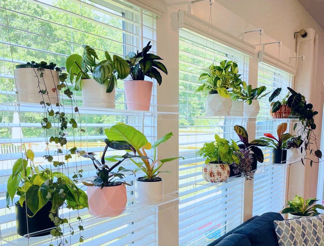 Window Plant Shelf  Hanging Shelf  Acrylic Plant Shelves  - Etsy | Etsy (US)