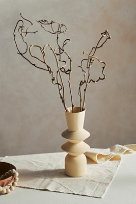 Dried Kiwi Vine Bunch | Terrain