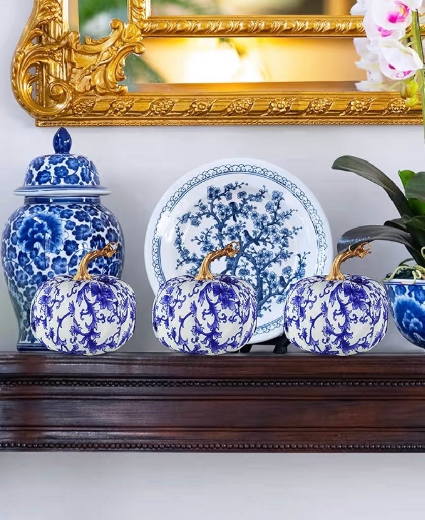 Chinoiserie Blue & White Pumpkins 💙🎃

The prettiest way to bring a little blue & white charm into your fall decor! 💙🤍 These chinoiserie-style pumpkins are such a beautiful alternative to traditional orange pumpkins and look gorgeous styled on a mantel, console, bookshelf, or table. I love how they add a classic, collected feel while still giving your home that cozy fall touch. 🍂✨

Perfect for fall decorating, Thanksgiving, Halloween, or a fall transition look that can carry you through the season. 🎃🕯️ They would also make the cutest addition to a blue & white chinoiserie collection!

Blue and white fall decor, chinoiserie pumpkins, blue and white pumpkins, chinoiserie home decor, fall home decor, classic fall decorating, Thanksgiving decor, blue and white decor, chinoiserie decor, elegant fall decor, Amazon fall finds, fall mantel decor. 💙🤍🍁

#LTKHome #LTKSeasonal #LTKmomlife