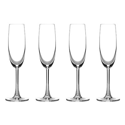 Champagne Flute Glass | Wayfair North America