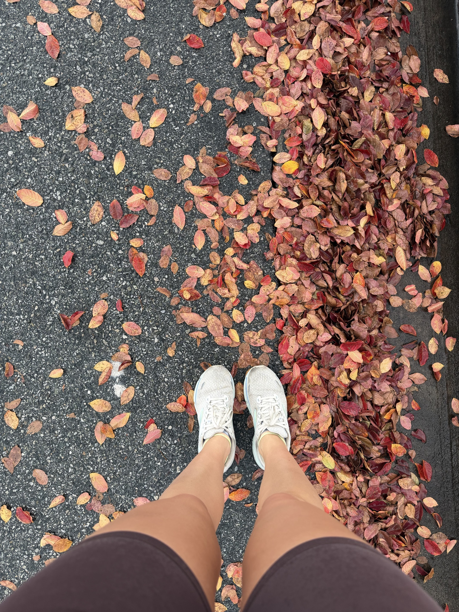 hot girl walks are for every season… at least in SoCal 

#LTKfitnessgoals #LTKActive #LTKdayinmylife