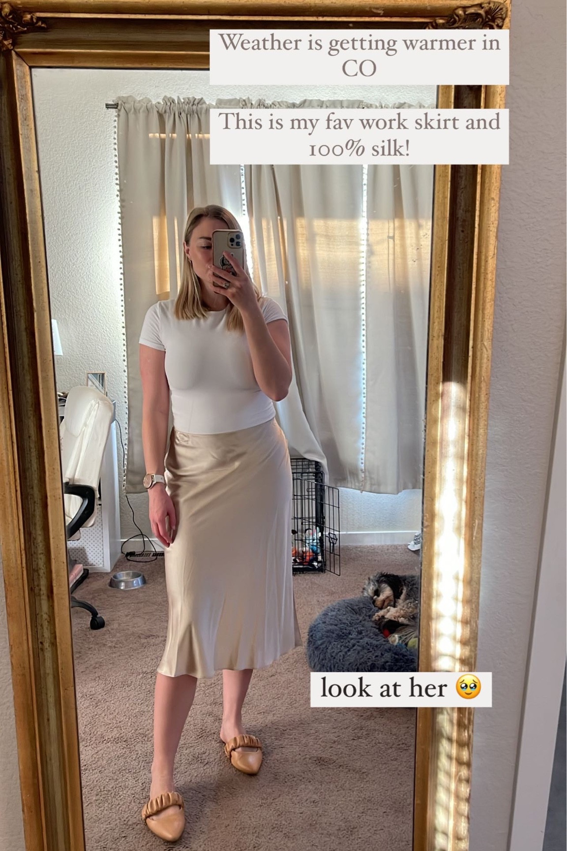 My favorite work basics! I have this skirt in champagne and black and wear them ALL the time! This bodysuit is also a great basic for work. I wear it under sweaters or blazers and pair it with skirts and dress pants! 

#LTKworkwear