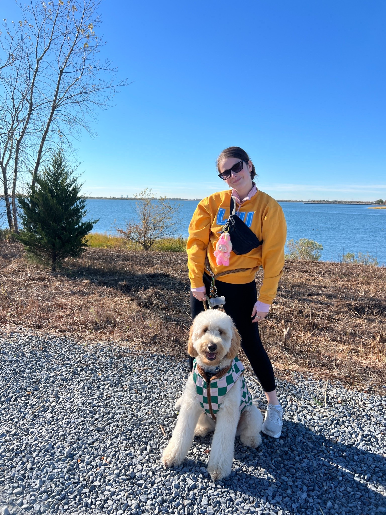 My favorite fall puppy jackets! 🧡 

#LTKSeasonal #LTKPets