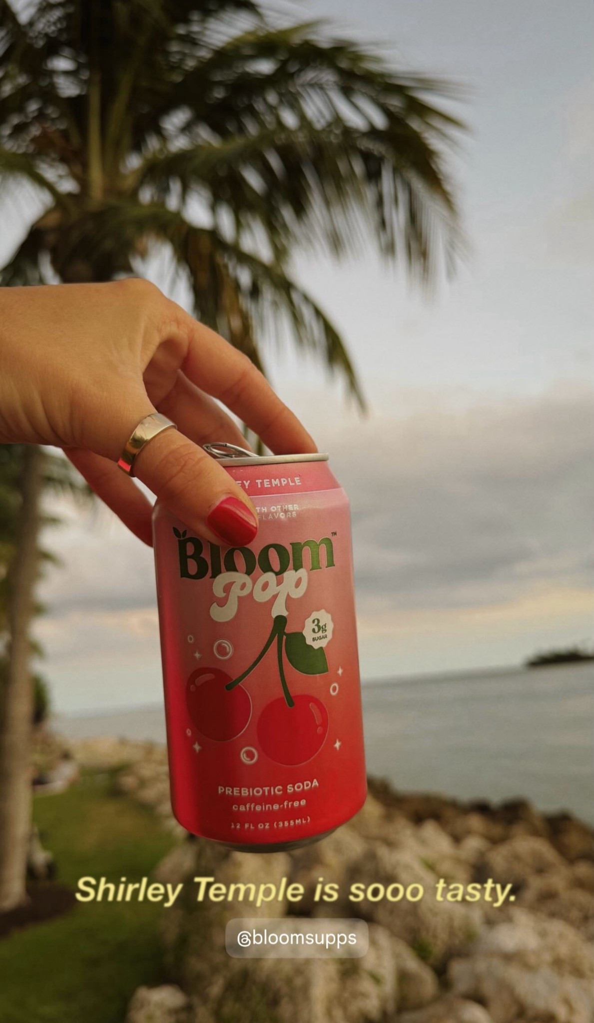 #LTKFindsUnder50 #LTKfoodie #LTKHoliday