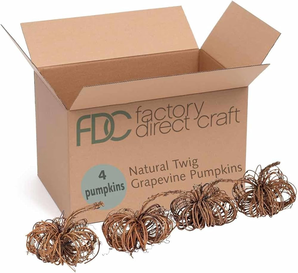 Factory Direct Craft Natural Twig Grapevine Pumpkins 4 Piece Set for Primitive Fall Decorating an... | Amazon (US)