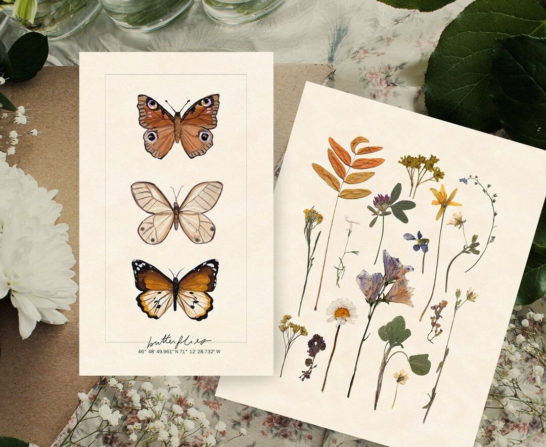 SET OF 2  Vintage Botanical Art Print  Butterfly Art Print  - Etsy | Etsy (US)