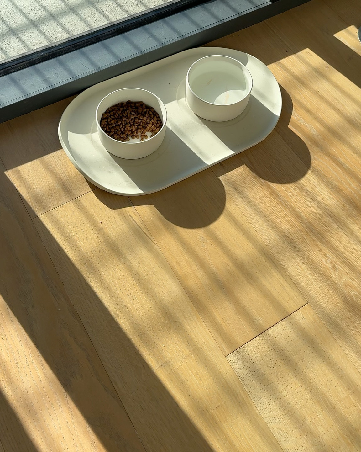 the most aesthetically pleasing dog bowls out there 😋 

#LTKFindsUnder50 #LTKHome #LTKStyleTip