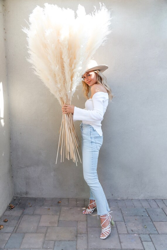 Dried PAMPAS GRASS (4 feet sold by stems) - Natural Dried Pampas Grass Decor | Etsy (US)