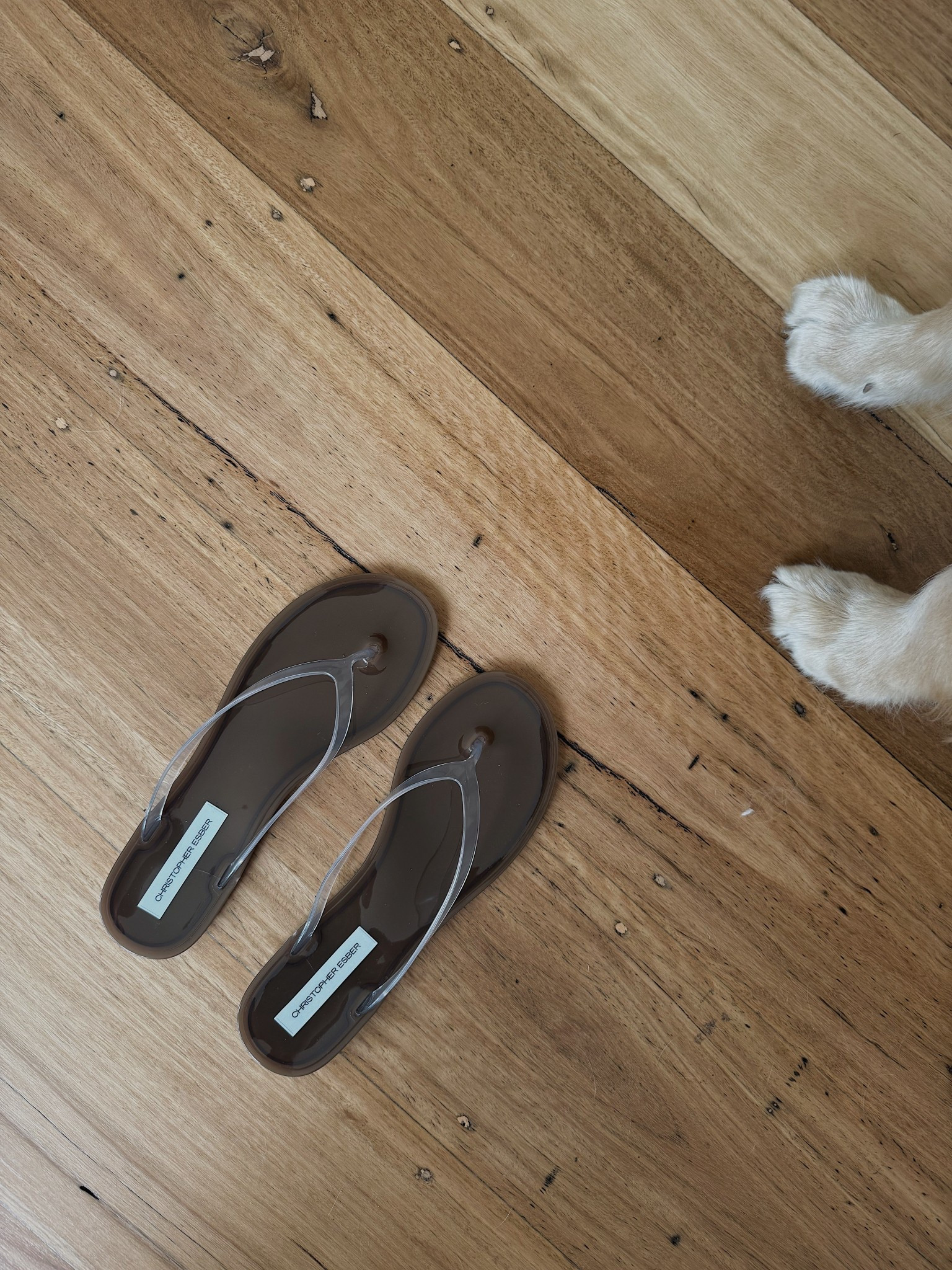 Summer feet 

Minimalist tonal sandal by @christopheresber 

#LTKaustralia #LTKshoes #LTKsummer