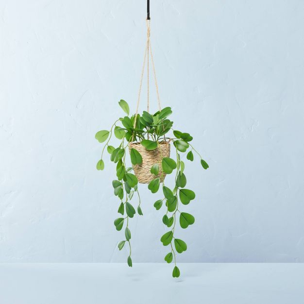 Faux Hoya Leaf Hanging Basket Arrangement - Hearth & Hand™ with Magnolia | Target
