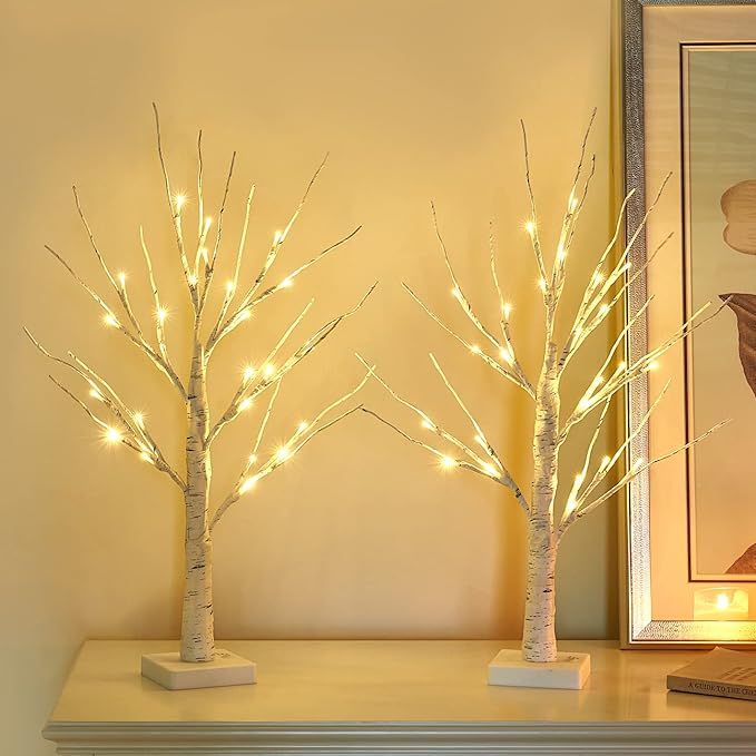 Vanthylit 2FT 24LT Pre-lit White Birch Tree Lights with Timer Decorative Light Tabletop Tree-Set ... | Amazon (US)
