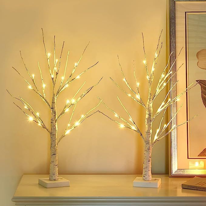Vanthylit 2FT 24LT Pre-lit White Birch Tree Light with Timer Decorative Light Tabletop-Set of 2 | Amazon (US)