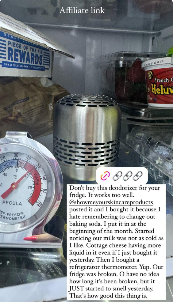 This fridge deodorizer works SO well.  

 #LTKHome