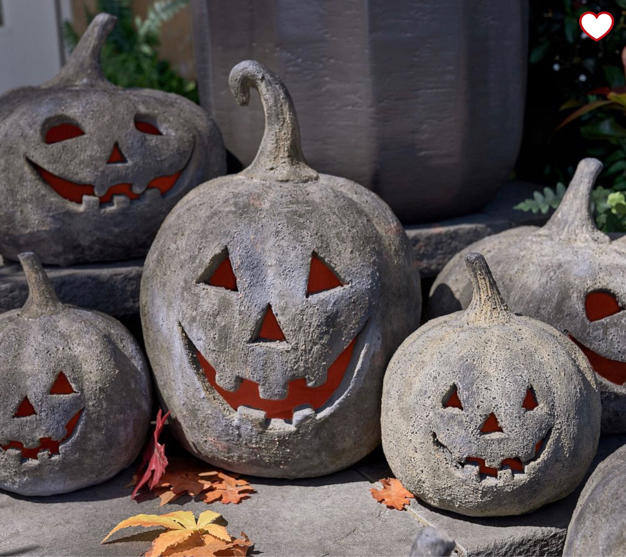 Pottery Barn Fall and Halloween is here !

Pottery barn, fall, halloween, pumpkins 

#LTKFind #LTKSeasonal #LTKhome