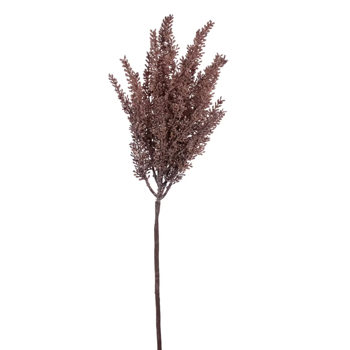 Vickerman 35" Dry Grass Stem | Target