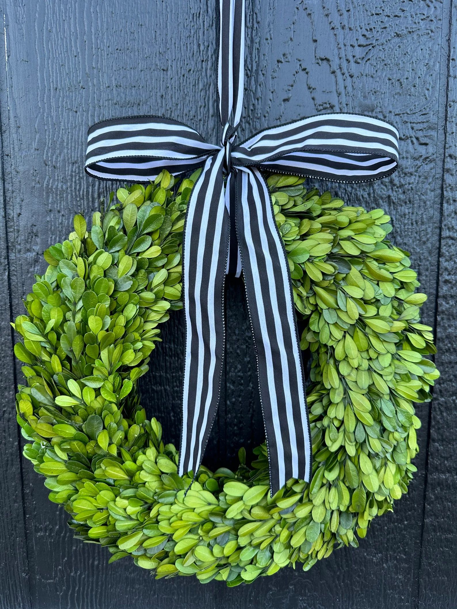 Preserved boxwood wreath - boxwood wreath | Etsy (US)