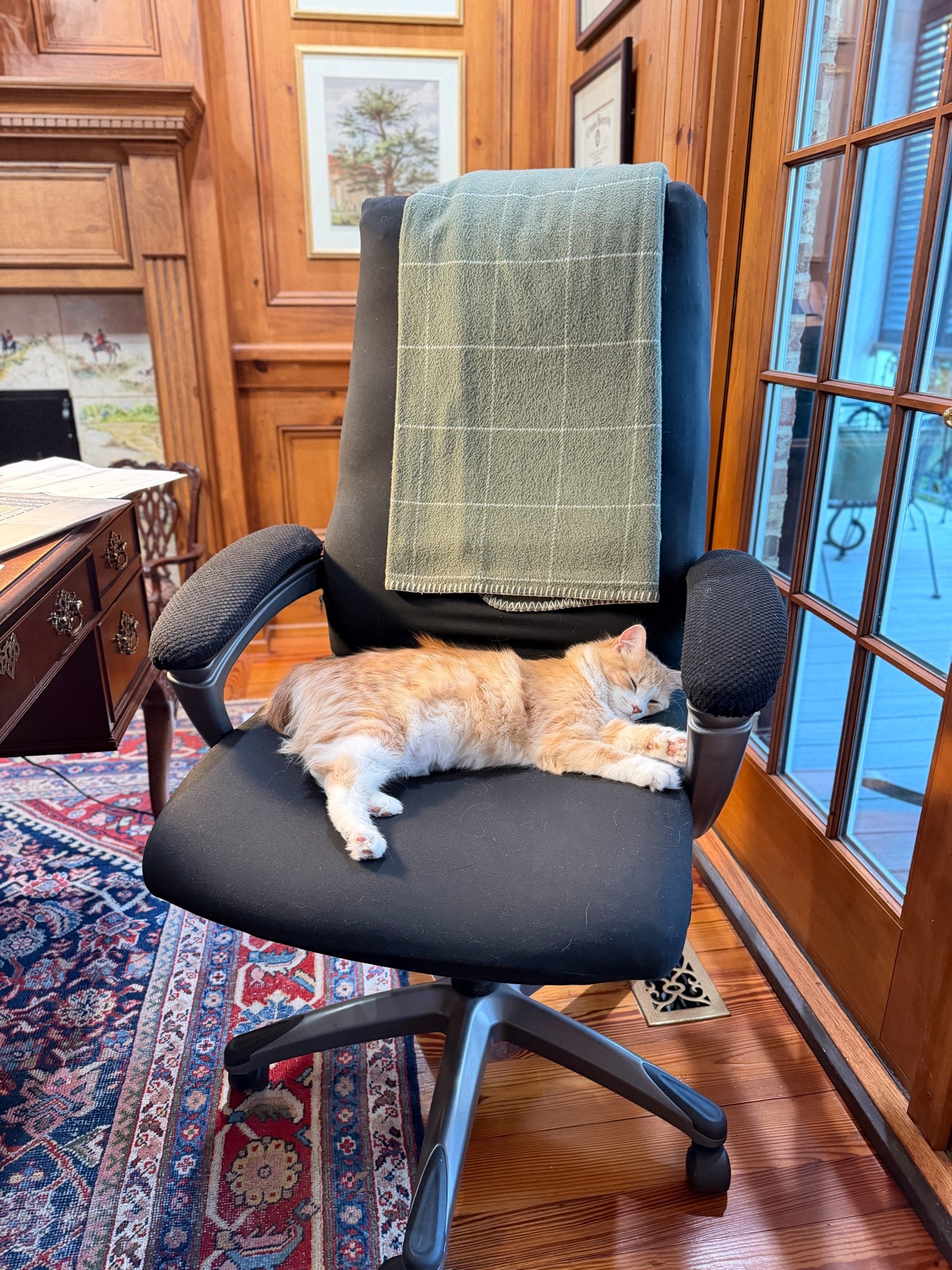 Has your office chair seen better days? These cover pieces work miracles until we can buy a new chair! Kitten not for sale! 🤗 

#amazonfinds #problemsolvers #homeoffice



#LTKdayinmylife #LTKFindsUnder50 #LTKHome