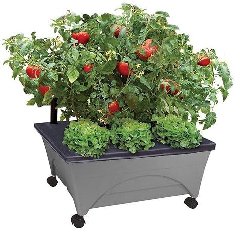 Emsco Group City Picker Raised Bed Grow Box – Self Watering and Improved Aeration – Mobile Un... | Amazon (US)