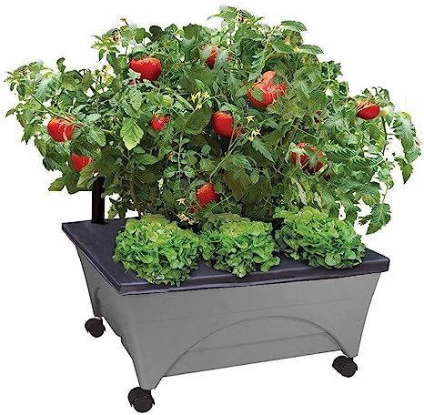 Emsco Group City Picker Raised Bed Grow Box – Self Watering and Improved Aeration – Mobile Un... | Amazon (US)
