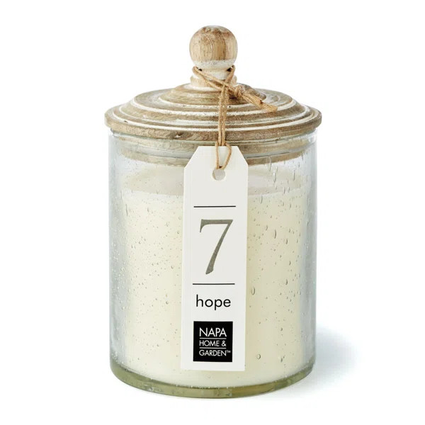 Hope Scented Jar Candle | Wayfair North America