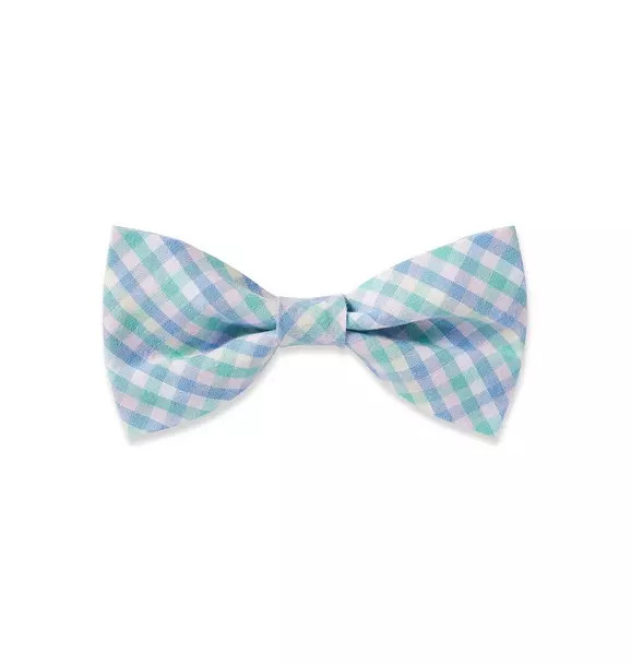 Petite Plume Dog Bow Tie in Spring Gingham | Janie and Jack