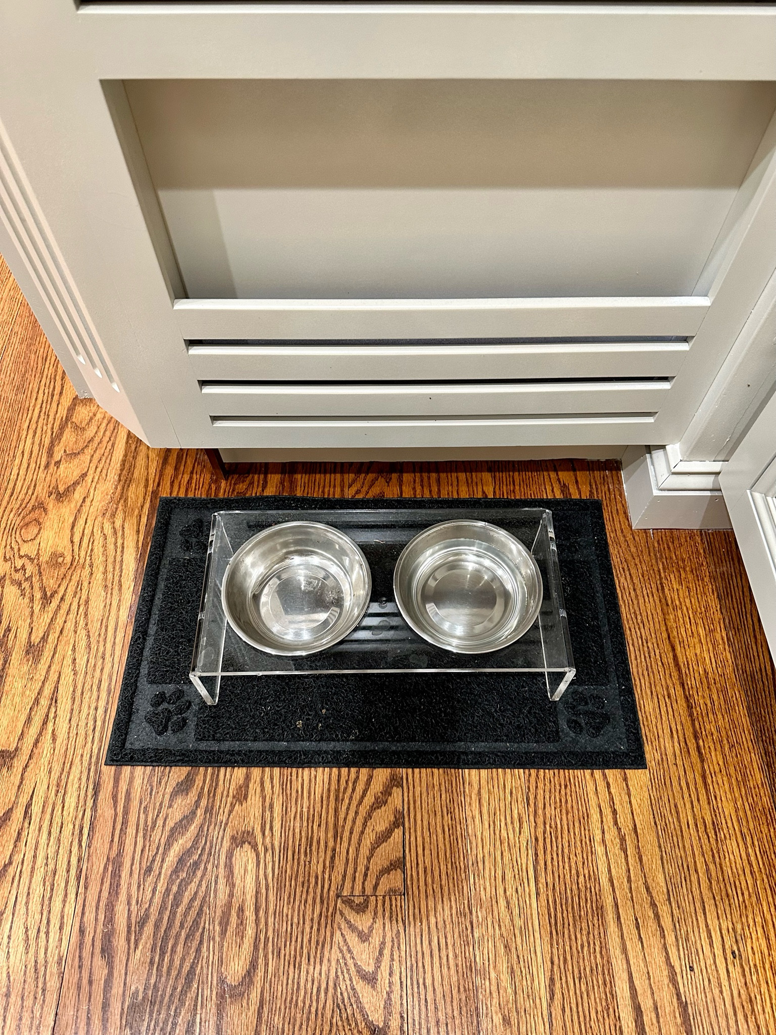 Acrylic pet bowls 

#LTKhome #LTKfamily #LTKfindsunder50