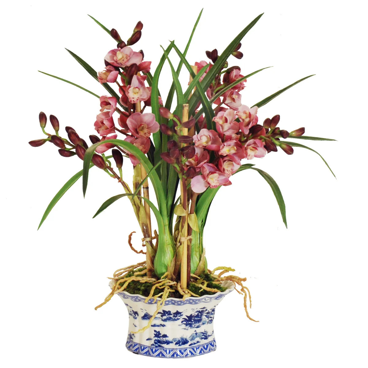 Cymbidium Pink Orchid in Oval Planter | The Well Appointed House, LLC
