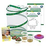 Butterfly Garden with Two Live Cups of Caterpillars - Includes Both English and Spanish Butterfly ST | Amazon (US)