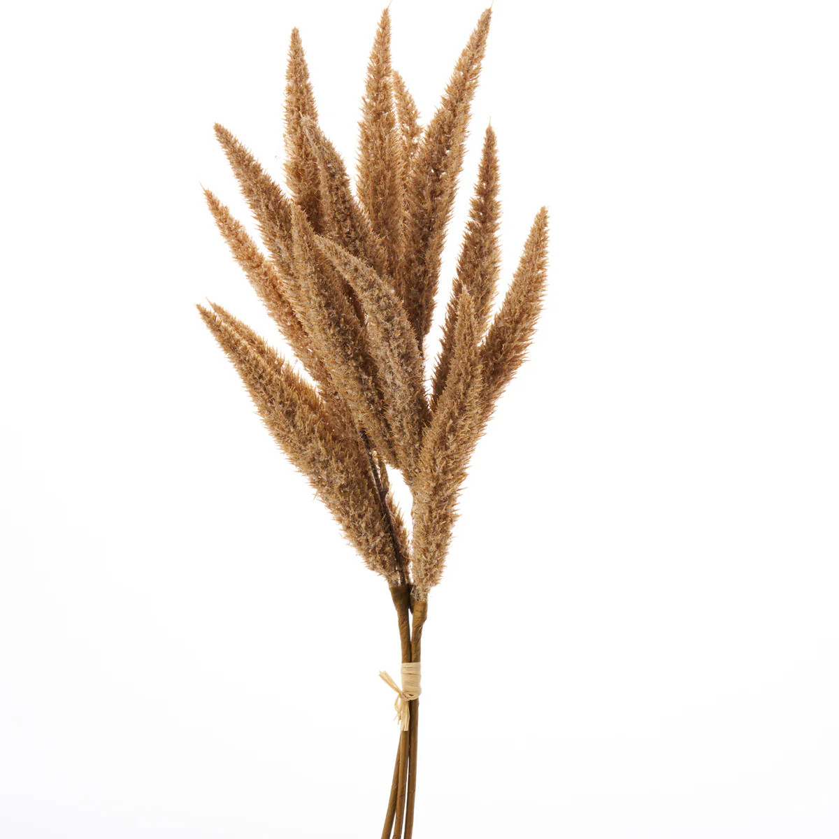 Brown Flocked Foxtail Grass Faux Greenery Stem Bundle of Three  - 25" | Darby Creek Trading