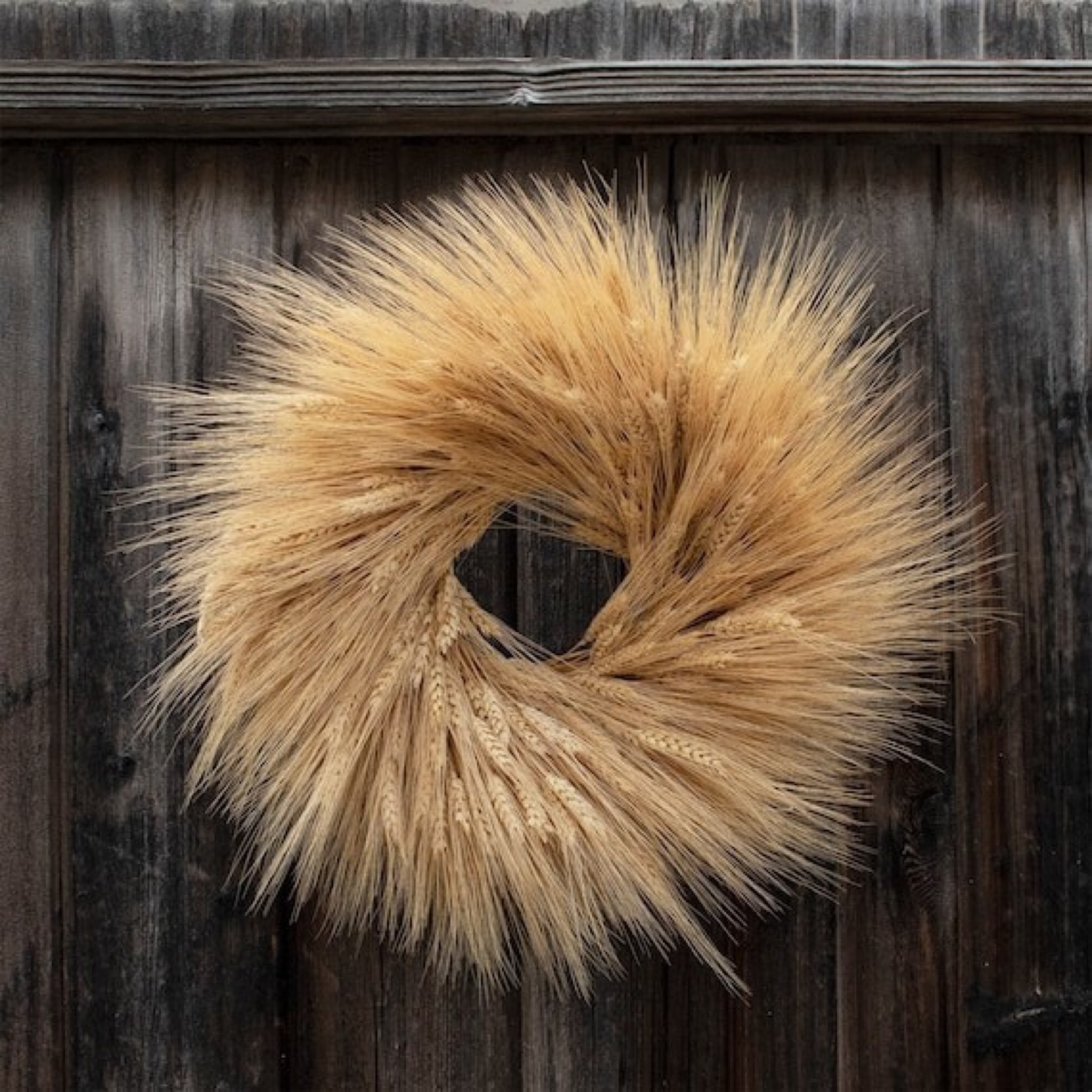 Most beautiful Fall wreath - I’ve had this for 3 seasons. 

#LTKHalloween #LTKhome #LTKfindsunder100