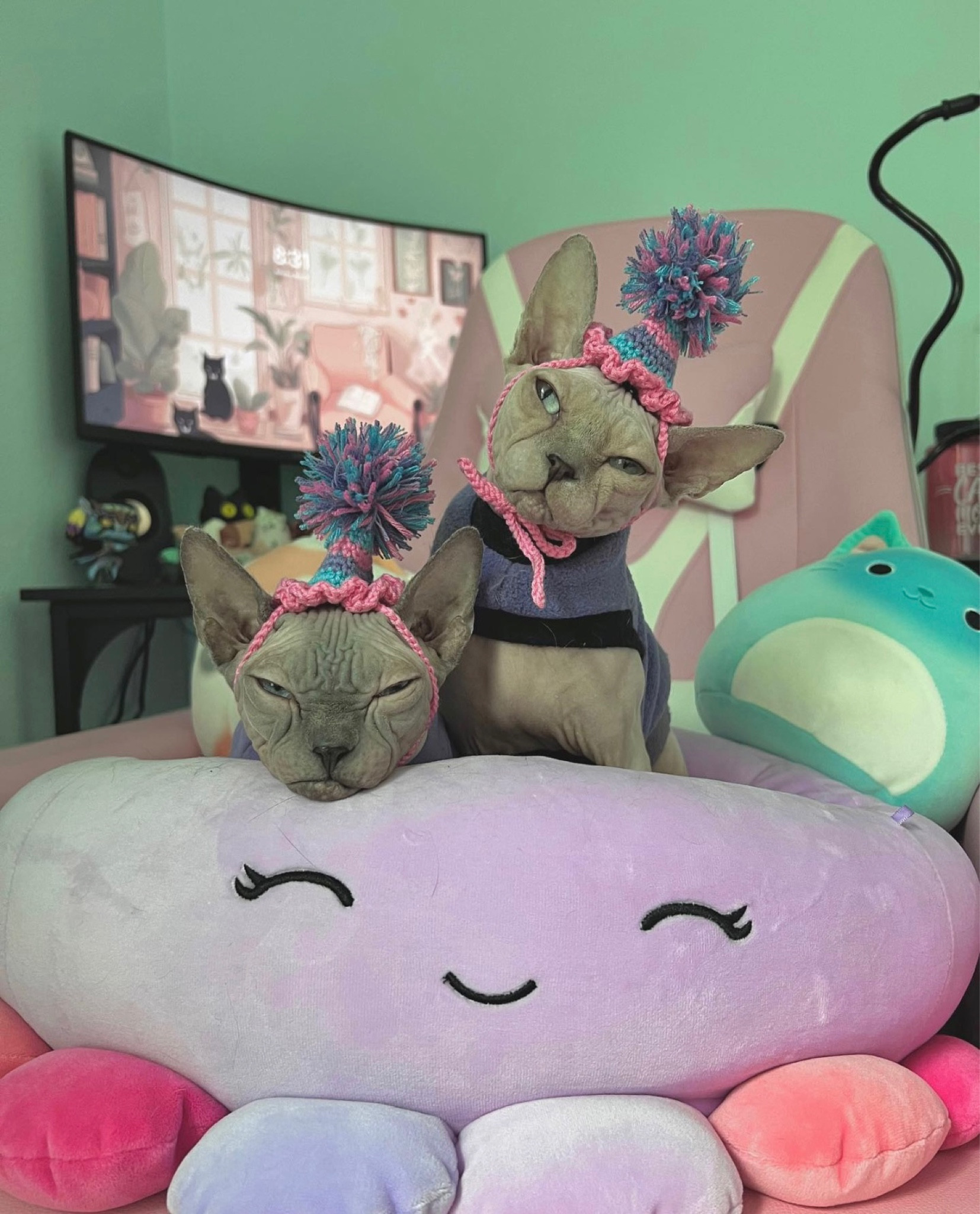 Birthday Girls Cat Hats 💕🐾

#LTKFind #LTKfamily #LTKGiftGuide