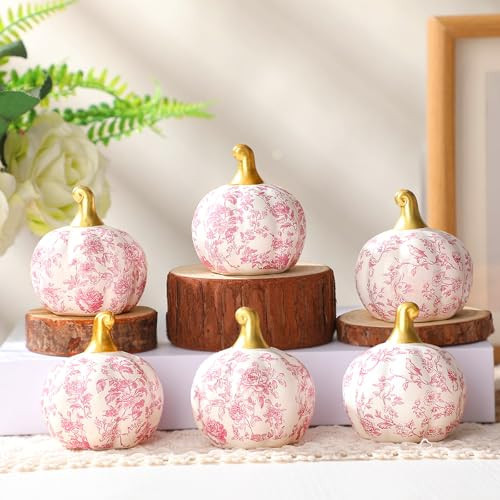 DoubleFill 6 Pcs Pink Ceramic Chinoiserie Pumpkins Fall Farmhouse Table Centerpiece Porcelain Pumpkin Tiered Tray and Mantel Ornaments for Indoor Thanksgiving Autumn Decor | Amazon (US)
