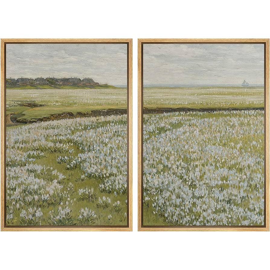 MUDECOR Framed Canvas Print Wall Art Fields of White Flowers Serene Nature for Home Decor Nature ... | Amazon (US)