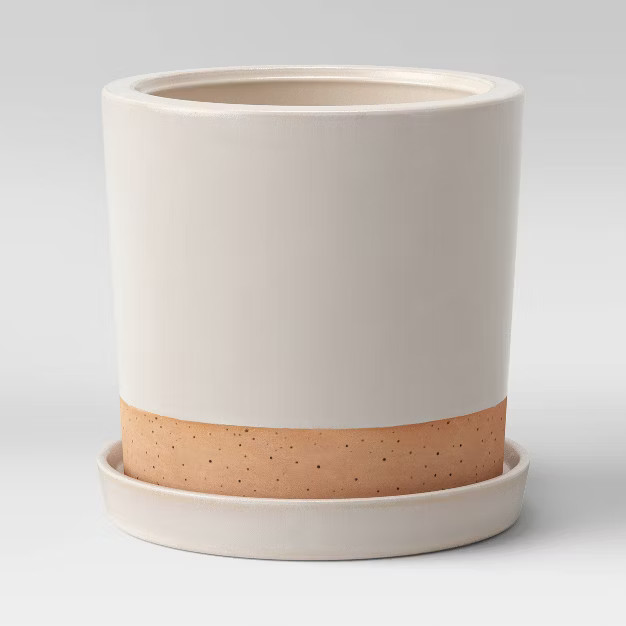 Earthenware Planter - Smith & Hawken™ | Target