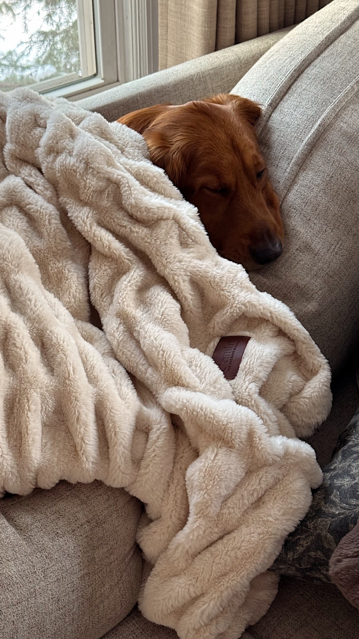 coziest weighted blanket ever from comfrt - new colors dropped today ❤️‍🔥


comfrt, comfrt dreamer blanket