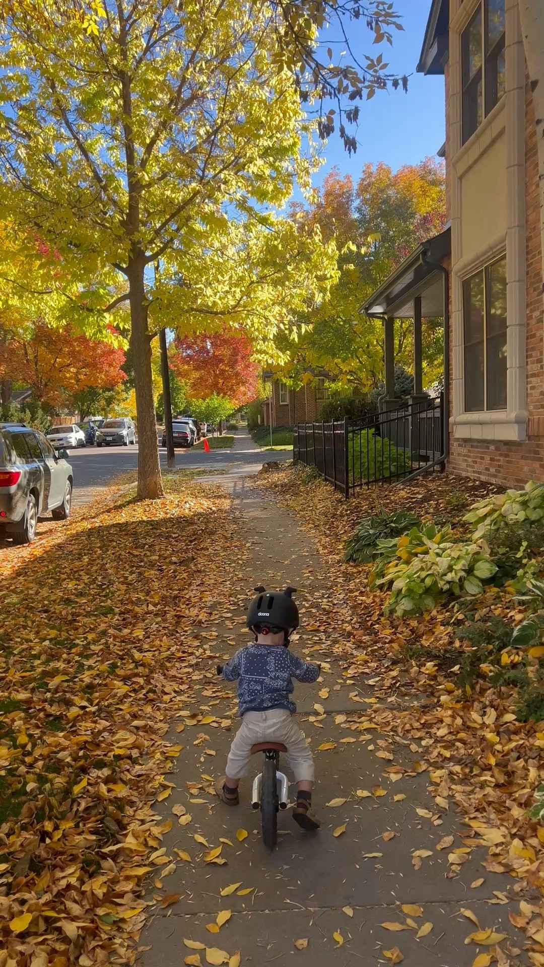 baby bike rides 

#LTKActive #LTKKids #LTKBaby