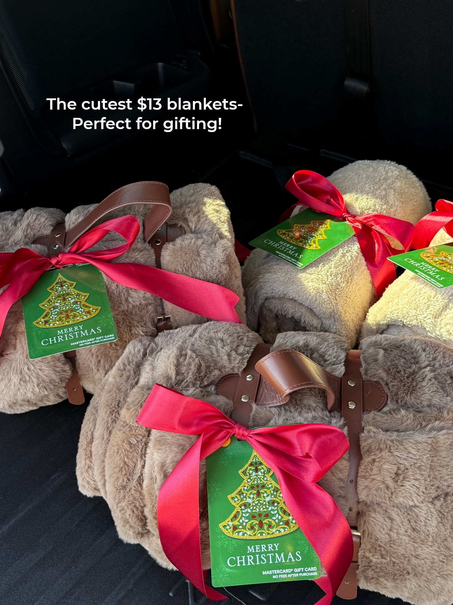 I still can’t believe the price of these throw blankets! They are from Walmart, they come in several colors, and I love that it comes with this traveling strap! 



#LTKFindsUnder50 #LTKHome #LTKGiftGuide