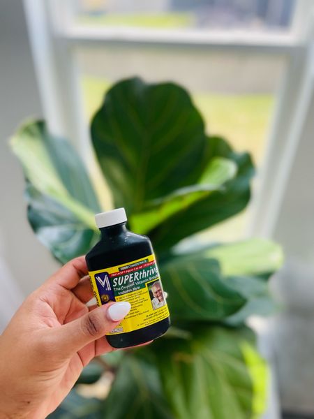 Plant parents !!🌱 🪴 this stuff does wonders for your babies!! If the leaves on your plant seem sad this right here will perk them back up! 

#LTKSeasonal #LTKFind #LTKhome