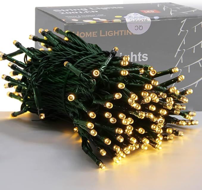 Home Lighting 66ft Christmas Decorative Mini Lights, 200 LED Green Wire Fairy Starry String Light... | Amazon (US)
