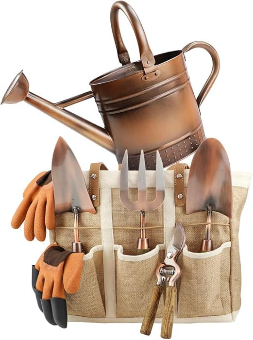 1 Gallon Galvanized Steel Watering Can with 3 Pcs of Garden Tools, 1 Pc of Pruning Shear, 1 Pair ... | Amazon (US)