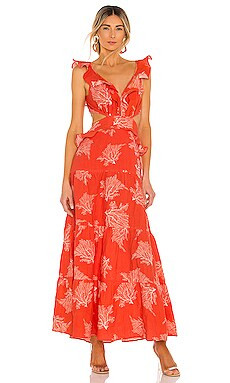Marigot Print Maxi Dress
                    
                    Karina Grimaldi | Revolve Clothing (Global)