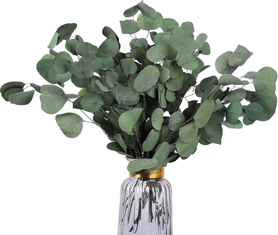 Real Eucalyptus Stems 20PCS Dried Preserved Fresh Eucalyptus Silver Dollar Leaves for Shower - Gr... | Amazon (US)