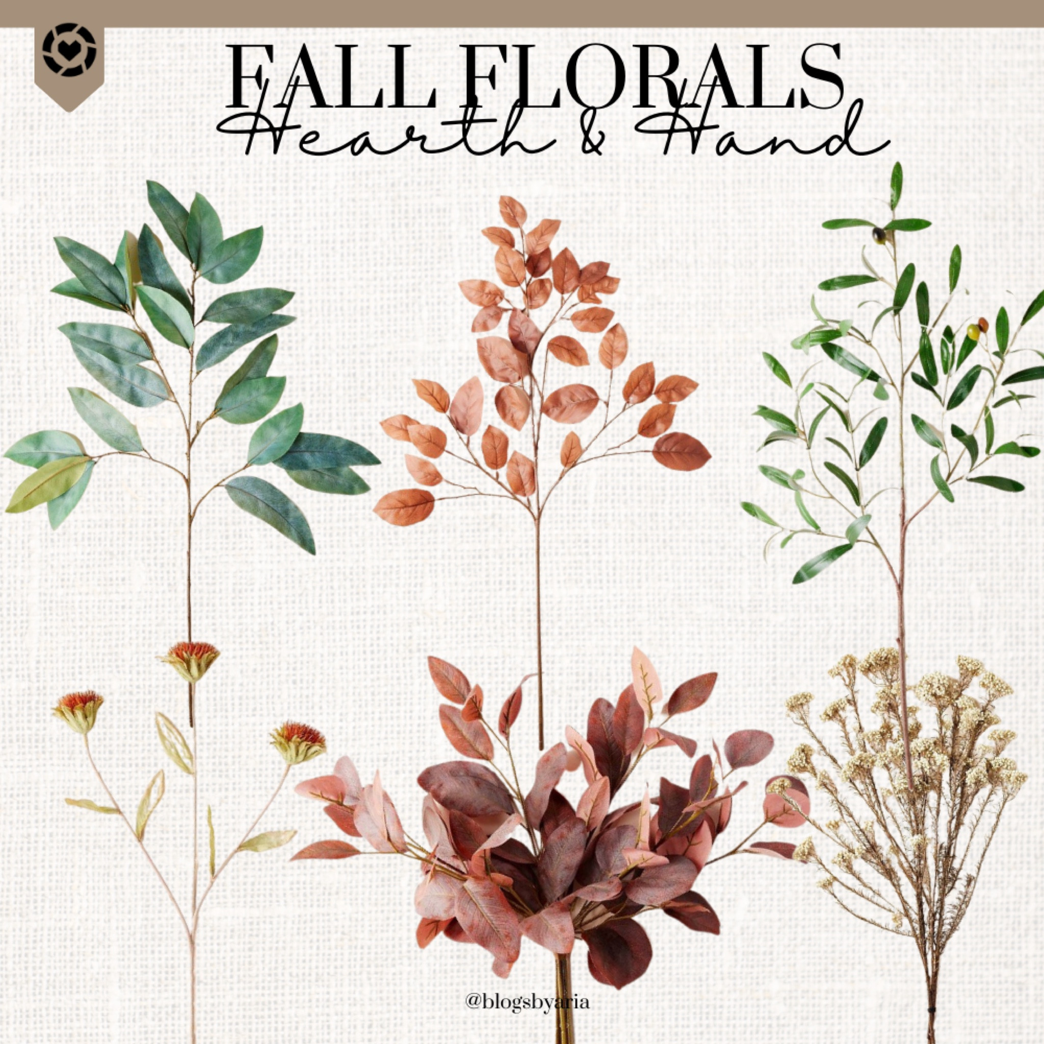 The Hearth & Hand Fall collection just released and it’s sooo good!! 🍂🤎 

#targethome #targetstyle #targetdoesitagain #fallhomedecor #targetshopping #target #targetmom #targetaddict #hearthandhand #targetdecor #homedecor #neutraldecor #targetmusthaves #targetfanatic #targetfall #hearthandhandwithmagnolia #joannagaines #falldecor #kitchendecor #shopwithme

#LTKSeasonal #LTKhome #LTKunder50