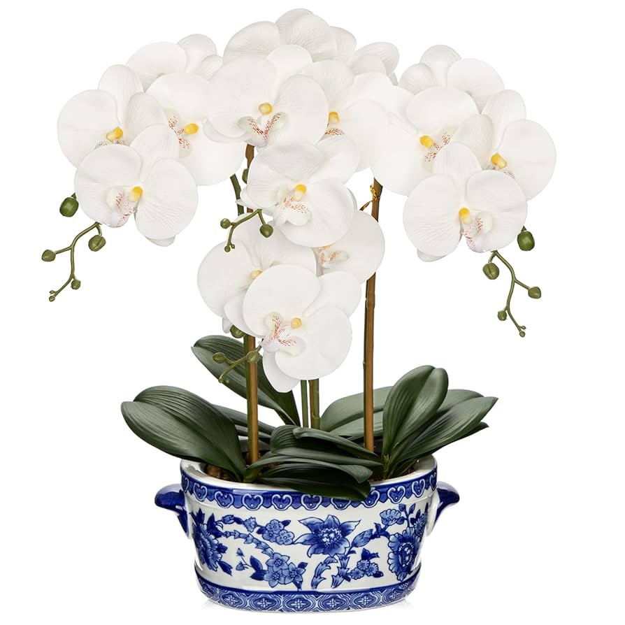Briful Orchid Artificial Flowers in Blue and White Porcelain Pot 19.7" White Faux Silk Orchid Arr... | Amazon (US)