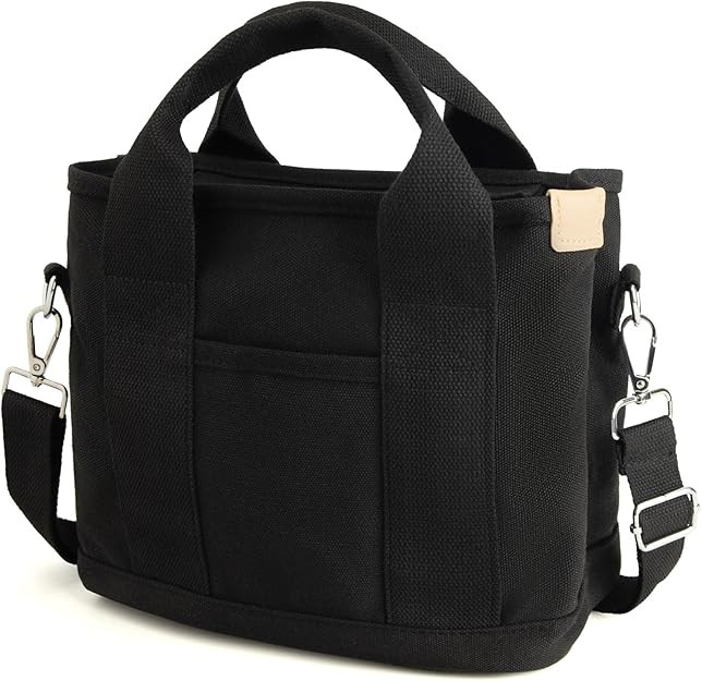 IwIeIaIrI Small Tote Bag with Zipper,Mini Tote Bag for Women,Crossbody Bag Shoulder Bag Friends B... | Amazon (US)